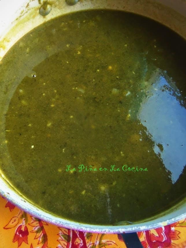 Love the deep roasted green color of this sauce.
