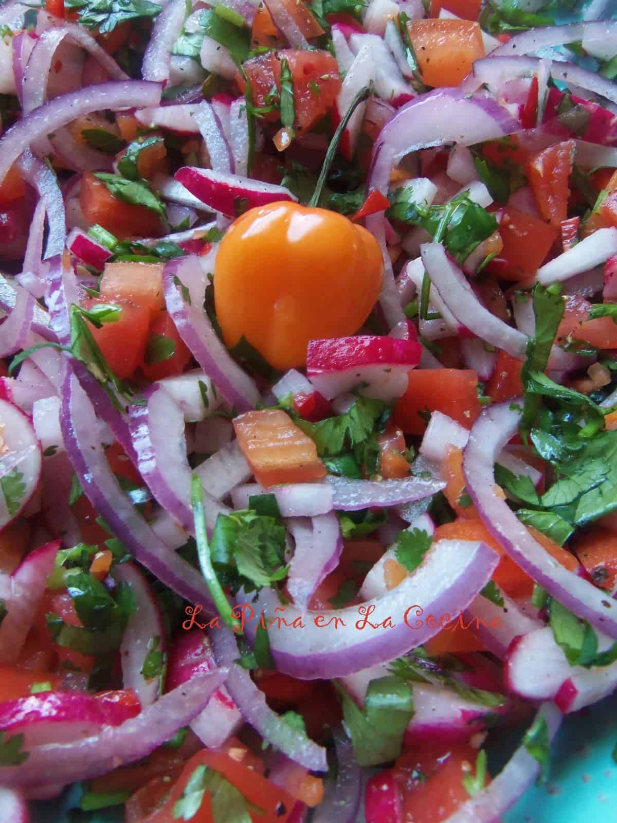 Chimol~ El Salvador. A fresh chopped salsa almost exactly as Pico de Gallo from Mexico, but with added radishes. In El Salvador, they would most likely not add the spicy chiles.