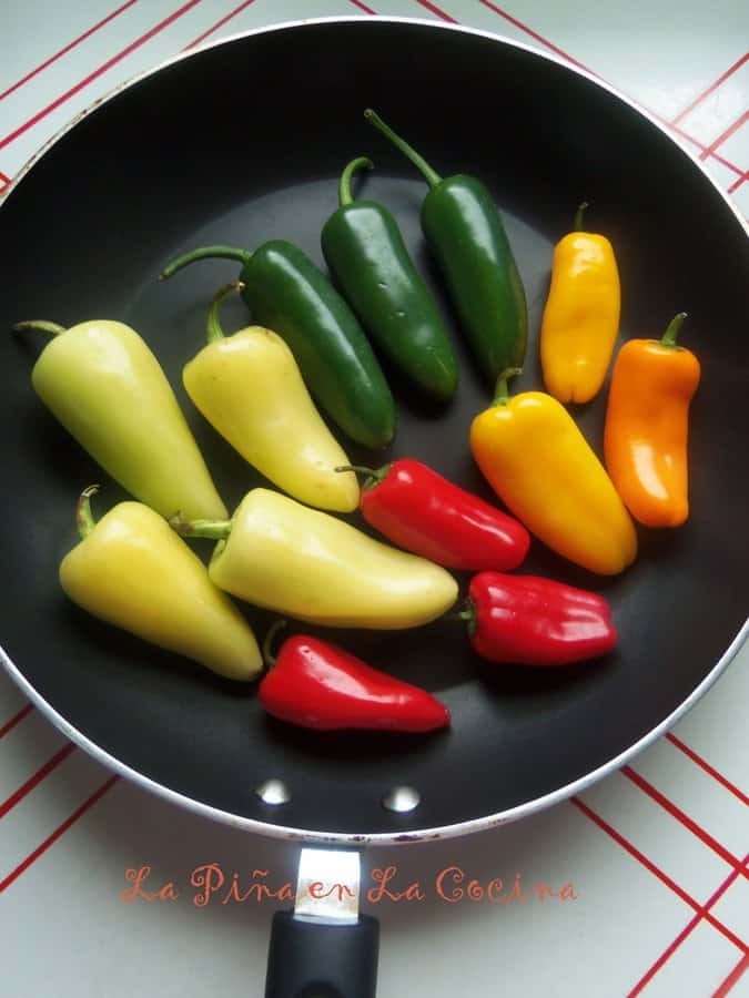 Assorted Chiles For Stuffing