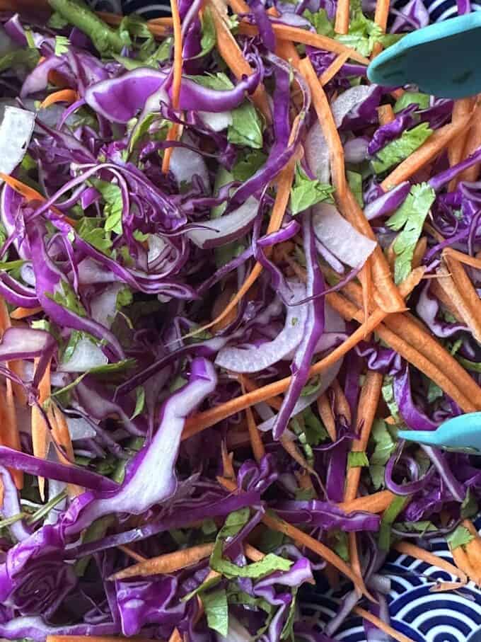 red cabbage slaw
