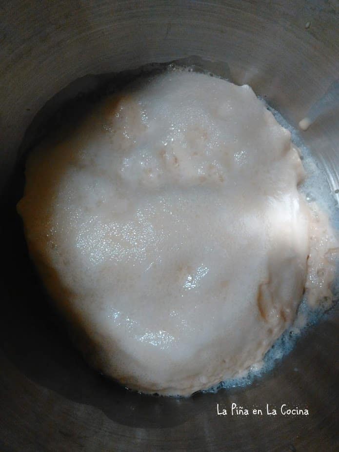 Foam on top of yeast