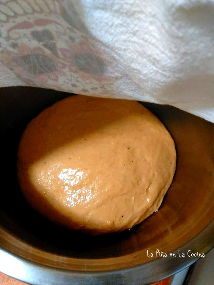 Dough in bowl ready to proof
