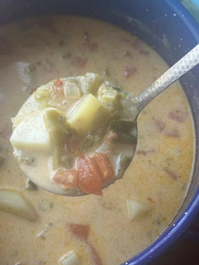 close up of caldo on a ladle