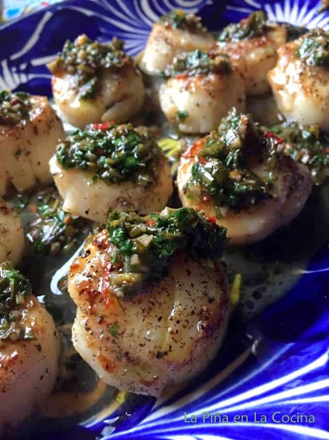 Seared Scallops garnished with a Chimichurri sauce on a platter