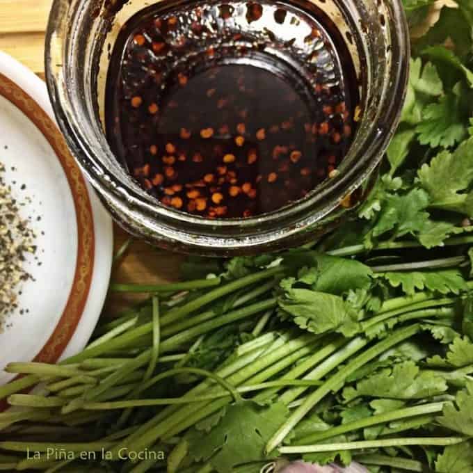 Ingredients for cilantro mojo close up, cilantro and salsa macha