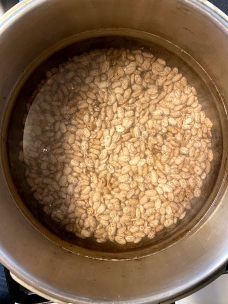 Uncooked pinto beans in a stove top pressure cooker covered with water top view