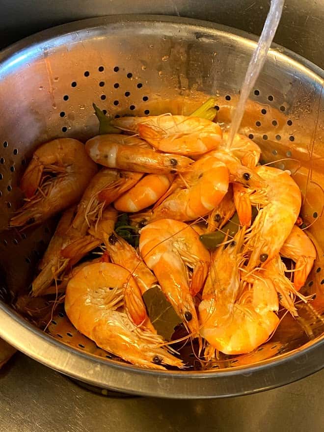 Running cold water over cooked shrimp in colander