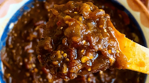 Salsa close up on wooden spoon