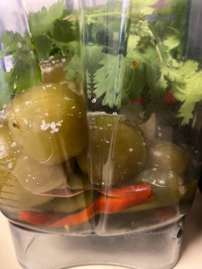 salsa ingredients in blender jar