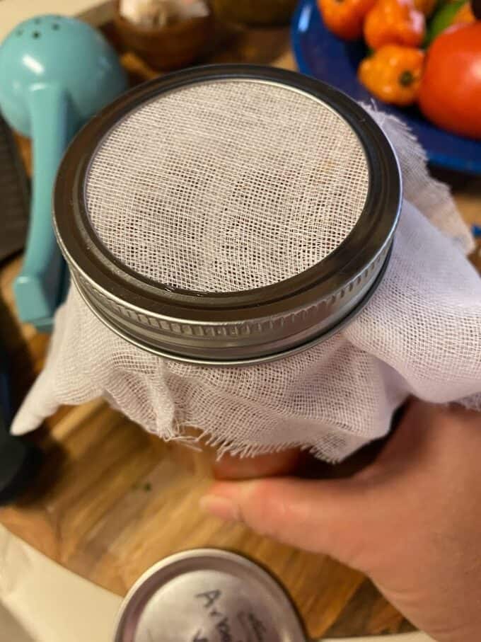 mason jar covered with cheesecloth and screw on lid