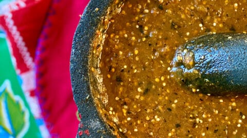 salsa brava close up