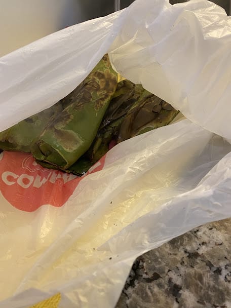 steaming green chiles in plastic bag