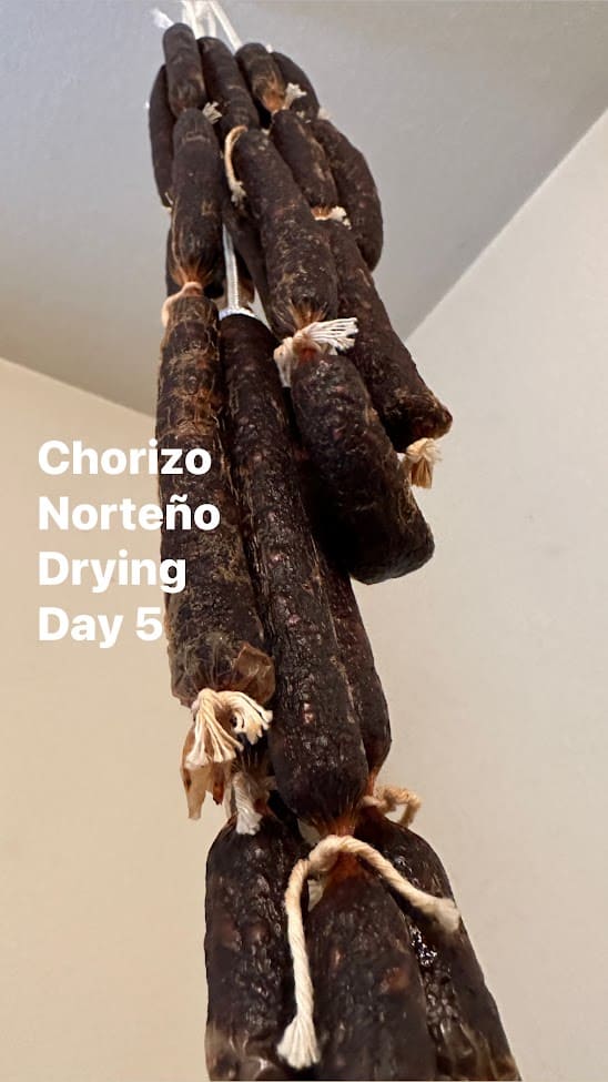 drying pork chorizo after 5 days