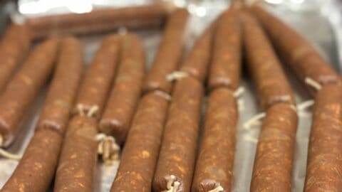 fresh chorizo links