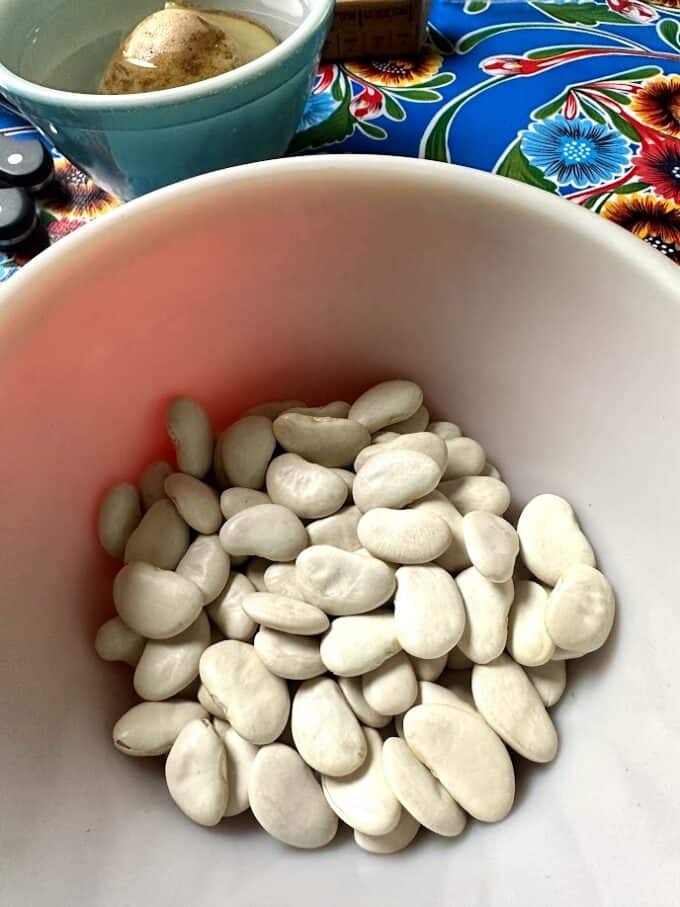 dried fava beans