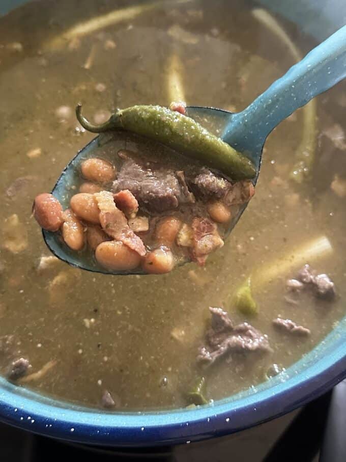 carne en su jugo in the pot, close up on a spoon