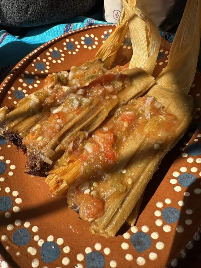 tamales plated with salsa garnish