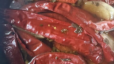 softened chile pods